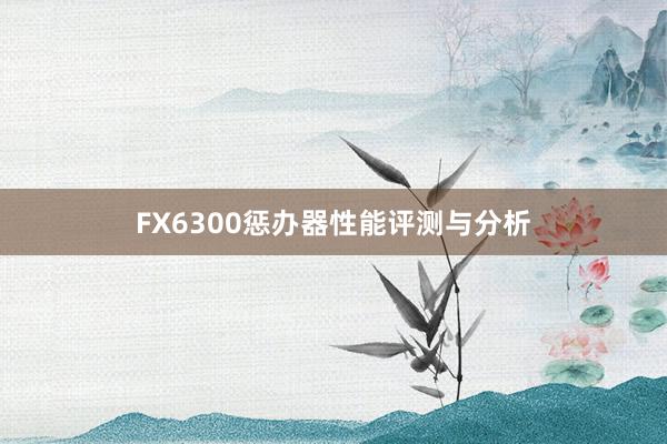 FX6300惩办器性能评测与分析